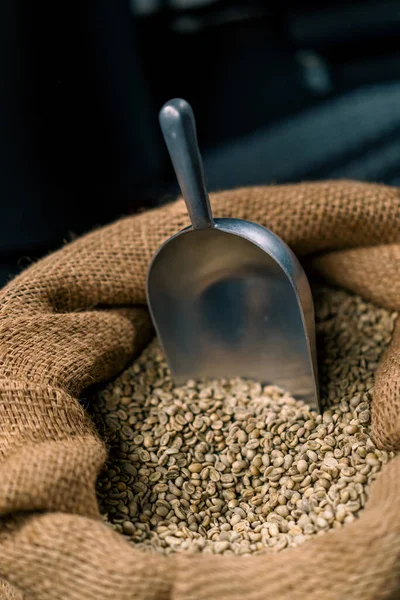 コーヒー業界の生産コンセプトを焙煎する前に緑色の生コーヒー豆のクローズアップはへら付きの袋に入っています — ストック写真