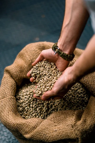 在咖啡生产概念中 男性手从袋子里挑出新鲜的生咖啡豆做热饮 — 图库照片
