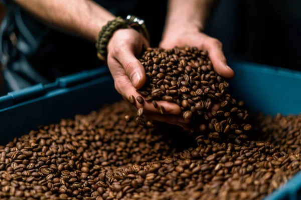 コーヒー豆を手にした労働者がコーヒーマシンで焙煎後のコーヒーの質をチェック — ストック写真
