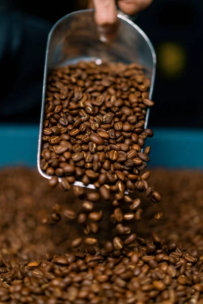 Ein Fabrikarbeiter Sammelt Frisch Geröstete Aromatische Kaffeebohnen Mit Spachtel Zum — Stockfoto