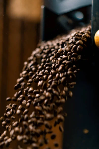 焙煎後の冷たいコーヒー豆は フライトコーヒー生産コンセプトで穀物容器に注ぎ込まれます — ストック写真