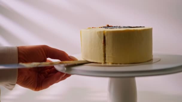 焼きたてのビスケット弁当ケーキに猫の絵が描かれたナイフの上のデザート — ストック動画
