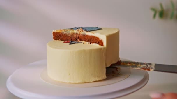 Pyszne Świeżo Przygotowane Ciasto Biszkoptowe Bento Ozdobione Zdjęciem Kota Kawałek — Wideo stockowe