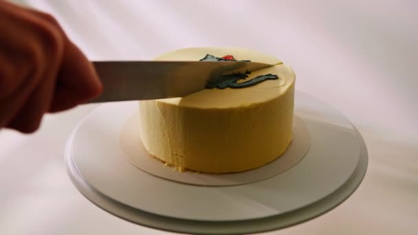 Pyszne Świeżo Przygotowane Ciasto Biszkoptowe Bento Ozdobione Wizerunkiem Kota Cięte — Wideo stockowe