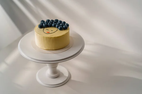 Delicioso Pastel Esponja Recién Hecho Bento Decorado Con Bayas Dibujo — Foto de Stock