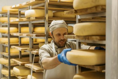 Peynir üreticisi üniformalı adam depoda ahşap raflarda peynir kafalar peynirle dolu