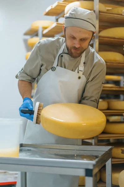 Cheesemaker Rękawiczkach Czyści Ser Pędzlem Magazynie Mleczarskim Produkcja Mleczarska Udana — Zdjęcie stockowe
