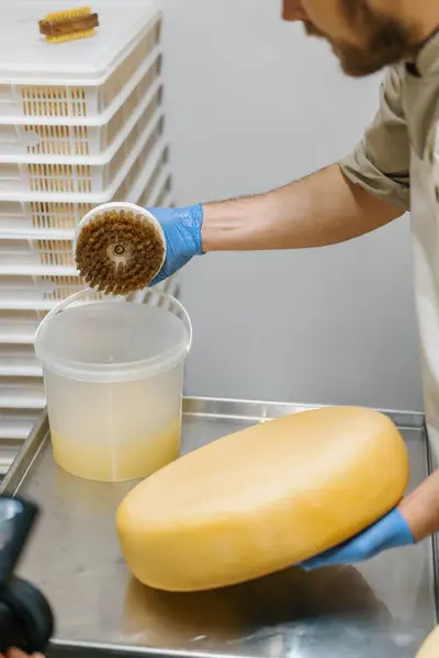 倉庫の乳製品生産成功した農業ビジネスでブラシでチーズをクリーニングする手袋の男性手 — ストック写真