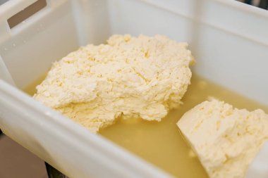 Üretim için yumuşak peynir kalıpları dolduruluyor Peynir tuzlu suya batırılıyor.