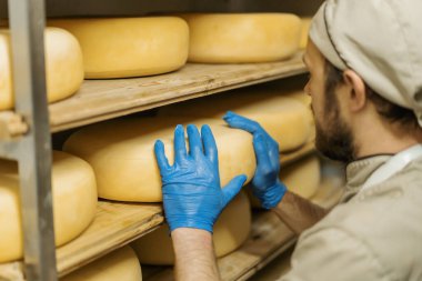 Peynir üreticisi üniformalı adam depoda ahşap raflarda peynir kafalar peynirle dolu