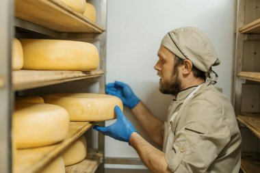 Peynir üreticisi üniformalı adam depoda ahşap raflarda peynir kafalar peynirle dolu