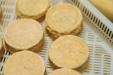 Peynir olgunlaştırıcı ambardaki peynir kafalar Üretim kavramı