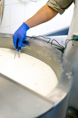 Bir çalışan, profesyonel bir aletle peynir fabrikasında pastörize edilen sütün sıcaklığını ölçer.