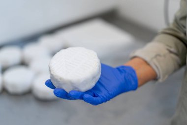 Bir işçinin organik yumuşak peyniri kağıt ambalaj kağıdında tutarken çekilmiş yakın plan resmi.