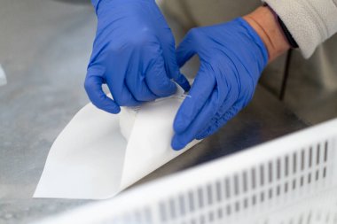 Bir işçi elle organik yumuşak peyniri kâğıt ambalajına koyar. Peynir üretimini yakından yapar.