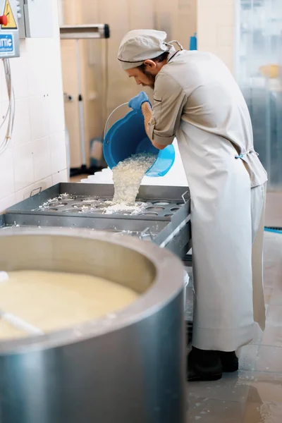 Producent Sera Wlewa Świeży Ser Form Dzięki Czemu Sery Brie — Zdjęcie stockowe
