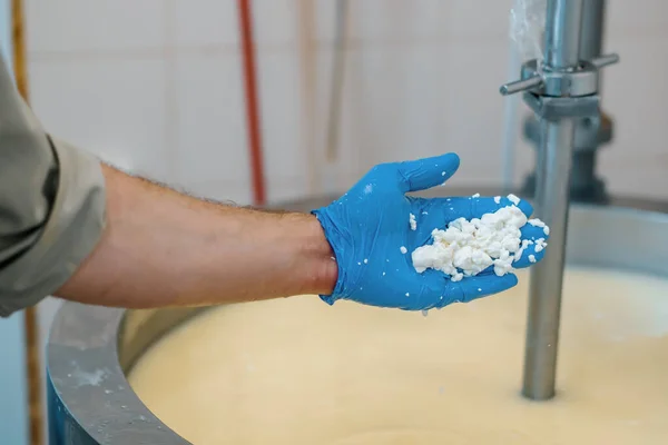 Míchání Mléka Sýrárně Sýrárna Kontroluje Sýr Ručně Velké Nádrži Pasterizace — Stock fotografie