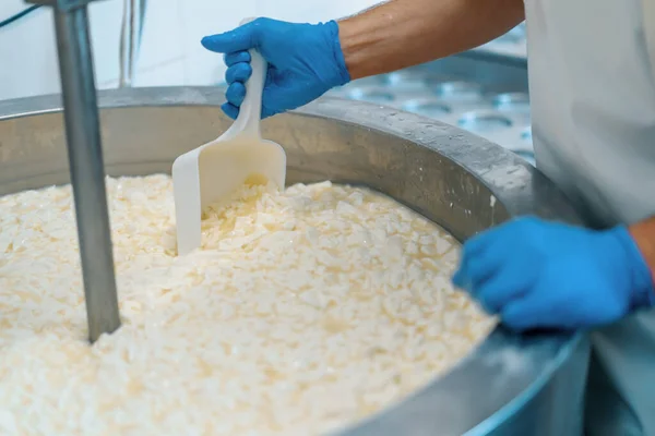 Míchání Mléka Sýrárně Sýrárna Kontroluje Sýr Velké Nádrži Pasterizace Sýrárna — Stock fotografie