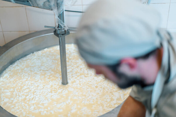 milk mixing at cheese factory cheese maker checks cheese by hand in large tank Pasteurization Cheese production cheese factory