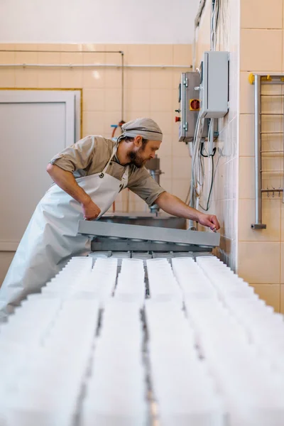 Sýrař Uniformě Vyrábí Sýr Dává Formy Pro Výrobu Sýrů Procesu — Stock fotografie