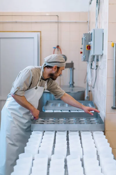 Sýrař Uniformě Vyrábí Sýr Dává Formy Pro Výrobu Sýrů Procesu — Stock fotografie