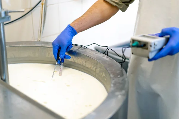 Zaměstnanec Měří Teplotu Pasterizovaného Mléka Kádi Sýrárně Pomocí Profesionálního Zařízení — Stock fotografie