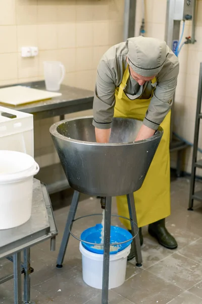 Production Dairy Cheeses Cheesemaker Takes White Mozzarella Metal Vat High — Stock Photo, Image