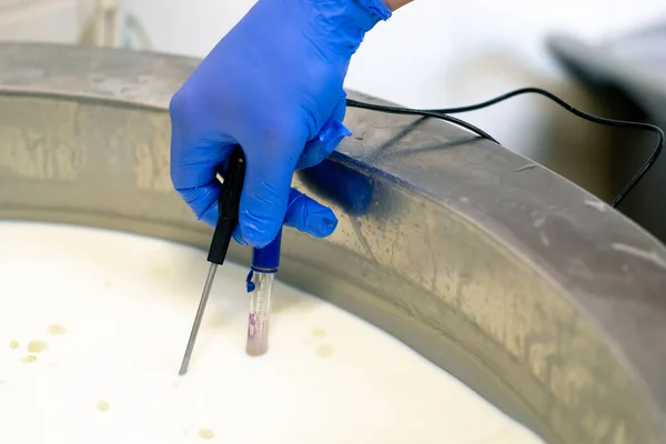 Bir Çalışan Profesyonel Bir Aletle Peynir Fabrikasında Pastörize Edilen Sütün — Stok fotoğraf