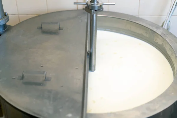 Míchání Mléka Sýrárně Speciálním Mixérem Velké Nádrži Pasterizace Výroba Sýrů — Stock fotografie