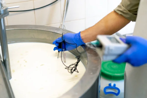 一名员工在奶酪工厂用专业仪器测量罐中消毒牛奶的温度 — 图库照片