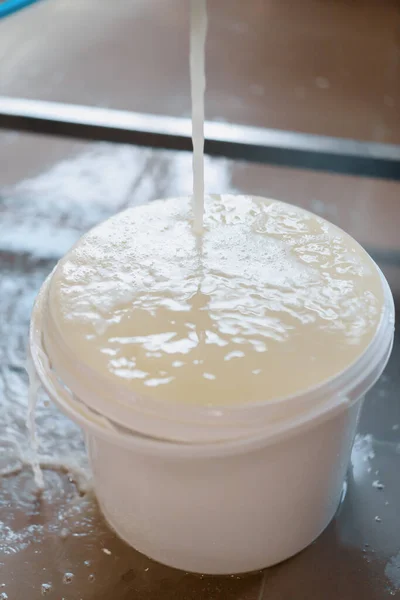 Peynir Fabrikasında Peynir Yapmak Kova Içine Süzülen Süt Kaynağına Yakın — Stok fotoğraf