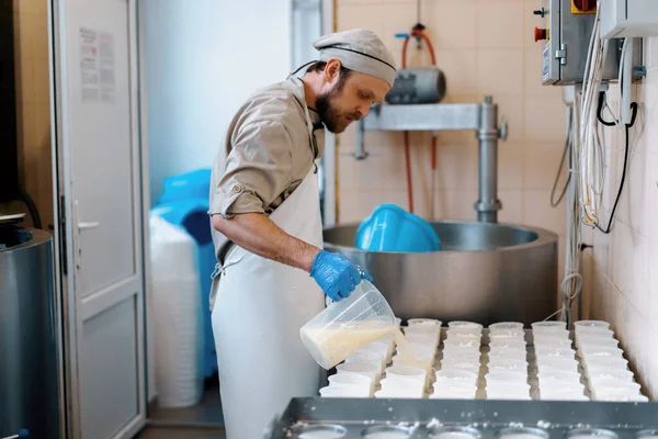 Kaasmaker Giet Verse Kaas Mallen Maken Brie Kaas Ambachtelijke Kaasproductie — Stockfoto