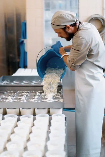Fabricante Queso Vierte Queso Fresco Moldes Fabricación Queso Brie Producción —  Fotos de Stock