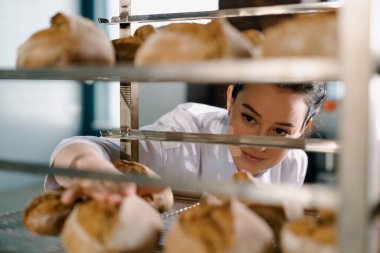 Raflar arasında çekici bir kadın fırıncı. Taze pişmiş ekmeğe bakıyor ve dikkatlice fırın endüstrisine bakıyor.