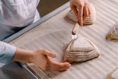 Kadın fırıncı, fırın yapımı hamur işlerini kapatmadan önce, profesyonel bir fırın bıçağıyla çiğ ekmek rulolarında desenler kesiyor.