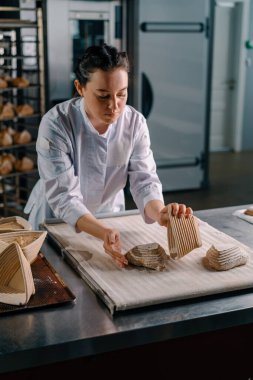 Konsantre güzel kadın fırıncı fırın hamur işleri pişirmeden önce kalıplardan çiğ ekmek ruloları serer.