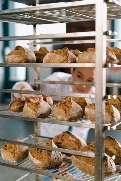 Atraktivní Pekařka Mezi Regály Hledá Kontroluje Čerstvě Upečený Chléb Velmi — Stock fotografie