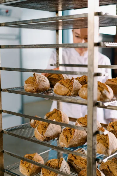 棚の間の魅力的な女性のパン屋は非常に注意深く焼かれたパン業界を見 点検します — ストック写真
