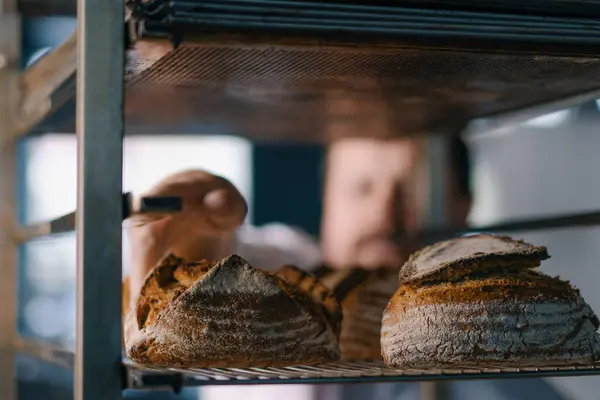 Rafların arasındaki erkek fırıncı fırın endüstrisinde yeni pişmiş ekmeği dikkatle kontrol ediyor.