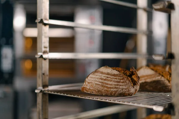 Pekařství Čerstvý Aromatický Chléb Leží Regálech Řemeslné Výroby Mouky Produkty — Stock fotografie