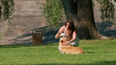 Bir köpek psikologu parkta itaat etmeyen şirin bir Corgi 'yi azarlar. Sahibi yaz yürüyüşünde köpekle konuşur.