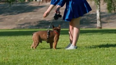 Parkta bir buldogla yürüyüşe çıkmış güzel bir kız tasmalı şirin bir köpekle oynuyor.