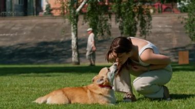 Genç bir kızın portresi ve şirin bir Corgi köpeği. Sahibi parkta yürürken köpeği burnundan öper.