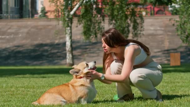 在公园散步时 主人亲吻了小狗的鼻子 这是一个小女孩和一只可爱的科吉狗的画像 — 图库视频影像