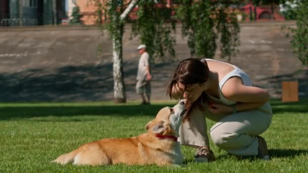 若い女の子とかわいいコルギの犬の肖像画 所有者は公園の散歩で犬にキスをします — ストック動画