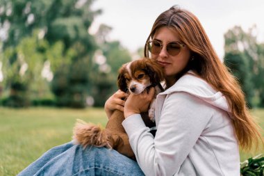 Parkta gezintiye çıkmış küçük, sevimli bir köpek. Kız sarılıyor ve evcil hayvan arkadaşına sarılıyor.