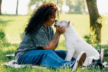 Pitbull cinsinin güzel beyaz köpeği Staffordshire Teriyeri parkta yürürken sahibi köpeği burnundan öpüyor.