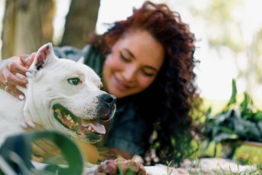 Pitbull 'un güzel beyaz köpeği, Stamfordshire Teriyeri' ni otların üzerinde sahibinin yanında yürüyüşe çıkarmış.