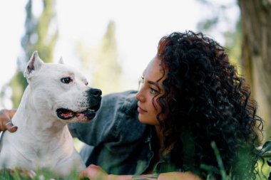 Pitbull 'un güzel beyaz köpeği, Stamfordshire Teriyeri' ni otların üzerinde sahibinin yanında yürüyüşe çıkarmış.