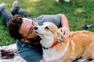 Sakallı adam evcil Corgi köpeği ile parkta dinleniyor ve sahibinin yaz pikniğini yalıyor.